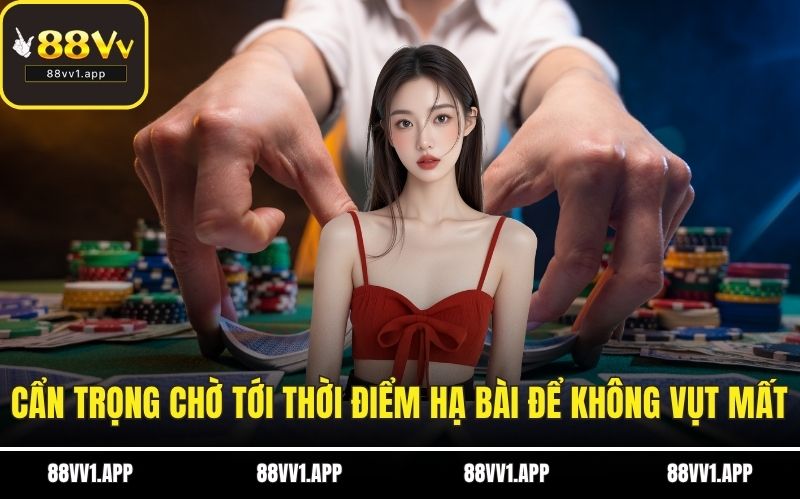 Cẩn trọng chờ tới thời điểm hạ bài để không vụt mất cơ hội
